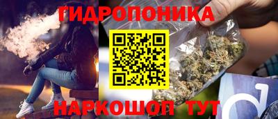стафф Новозыбков