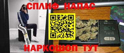 стафф Новозыбков