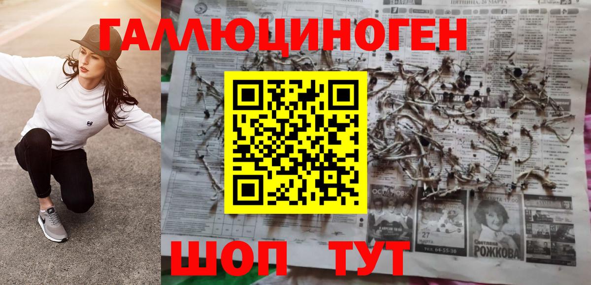 Псилоцибиновые грибы прущие грибы  Вход с VPN  Тайшет 