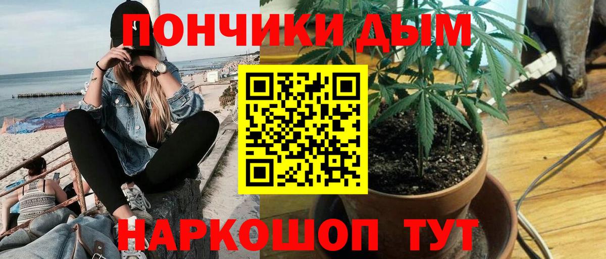 МАРИХУАНА марихуана Тайшет